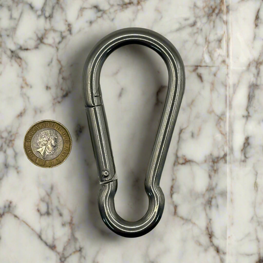 Stainless Steel Carabiner Hooks