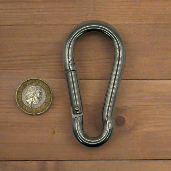 Stainless Steel Carabiner Hooks