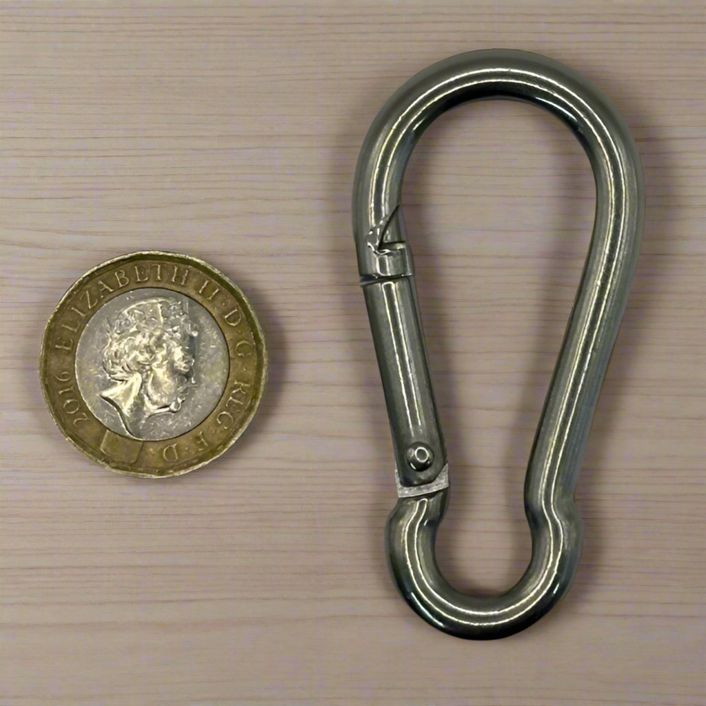 Stainless Steel Carabiner Hooks