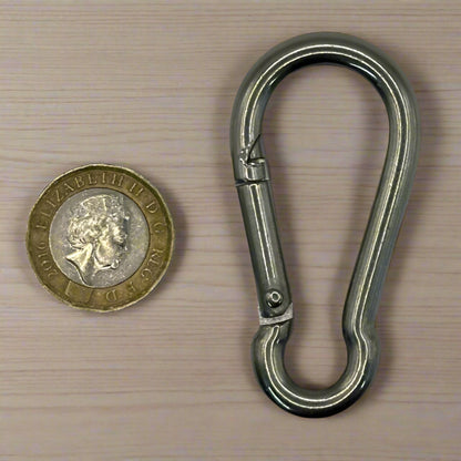 Stainless Steel Carabiner Hooks