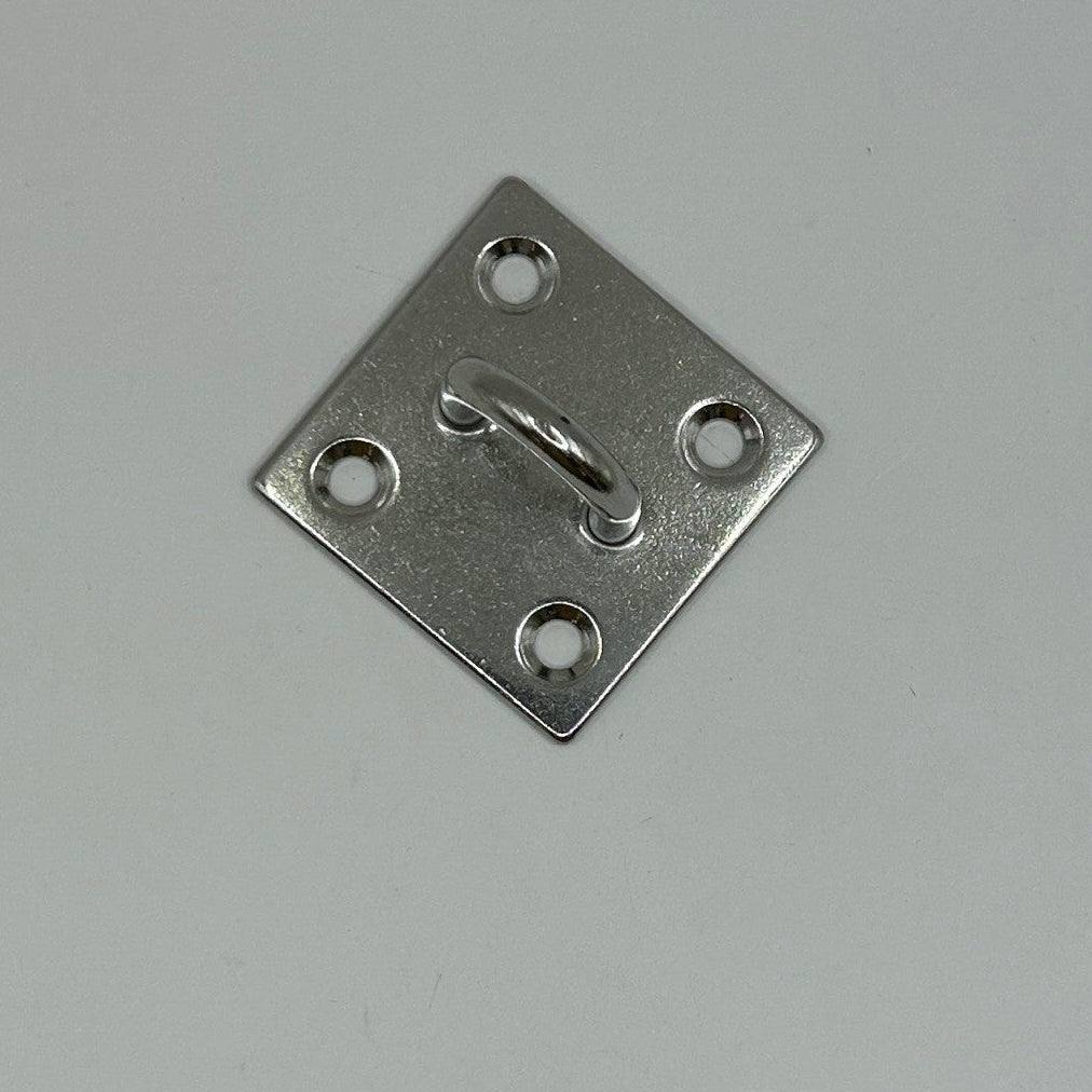 Stainless Steel Staple on Plate